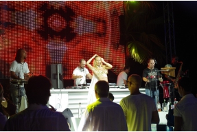 Beyaz Parti